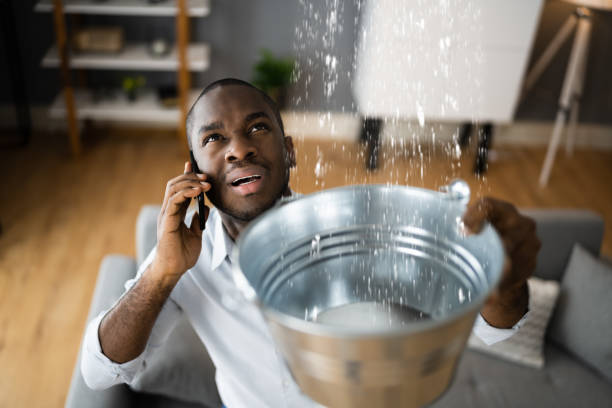 Best Carpet water damage restoration  in Millersville, TN