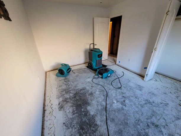 Best 24/7 water damage repair  in Millersville, TN