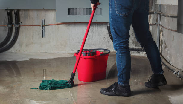 Best Flood damage cleanup  in Millersville, TN