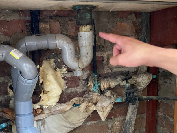 Best Professional water damage repair  in Millersville, TN